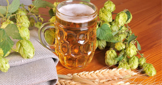 【前編】🍺 IPAってなんでこんなに人気なの？その進化の物語①