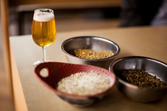 モルトの奥行き：ビールの「ボディ」を理解する— 麦芽はビールの骨格。焦がし方ひとつで変わるキャラメル、チョコ、ビスケットの風味。